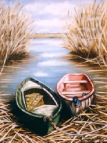Naturaleza