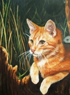 Animales